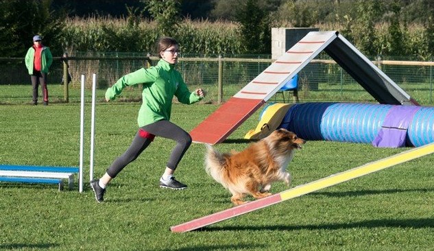 agility 1