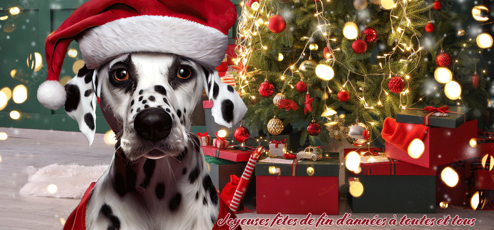 noel-2022-chien